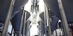 Beverage Fermentation Tank