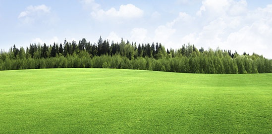 Outdoor Expansion