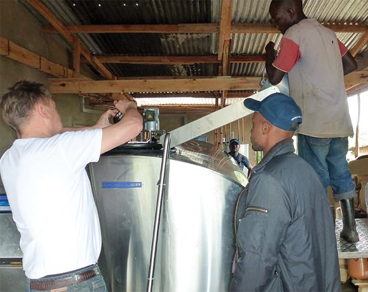 Workers setting up milk collection center