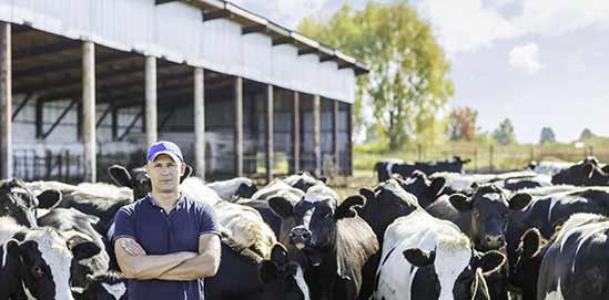 XL Robotic Farm Milk Cooling