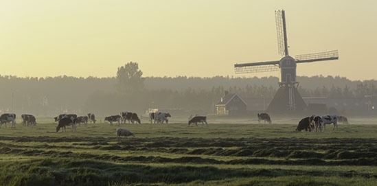 Raw Milk Receiving and Processing