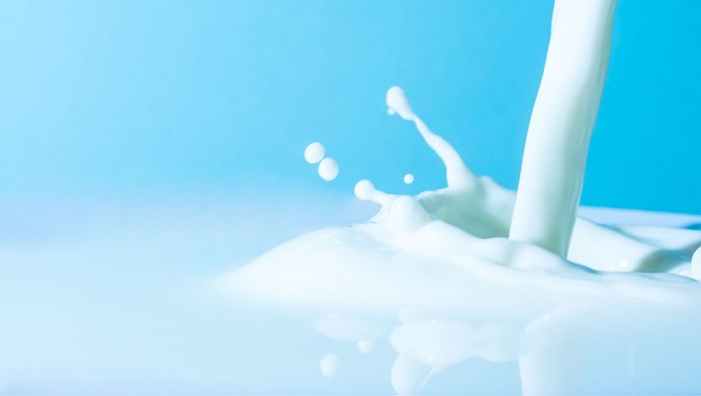 milk-1024x579