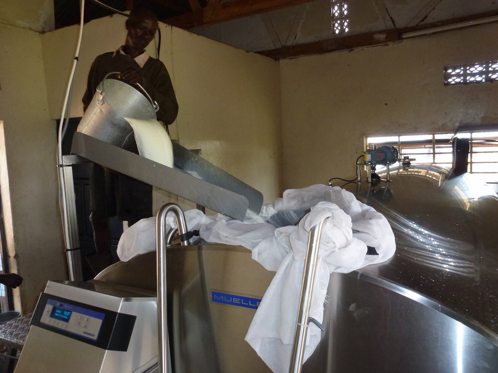 Milk-center-Africa-WEB
